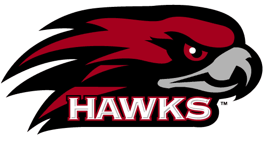 St. Joseph's Hawks 2001-Pres Alternate Logo v3 diy DTF decal sticker